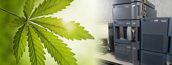 What equipment do I need to start a cannabis lab?