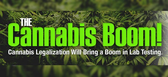Cannabis Legalization Will Bring a Boom in Lab Testing
