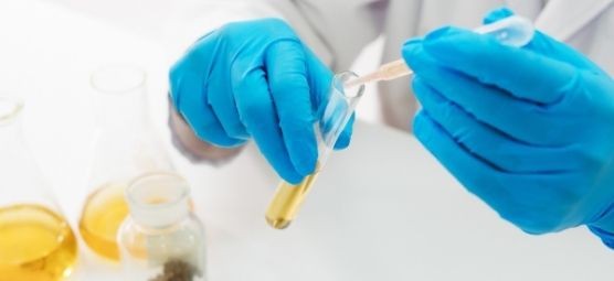The Importance of Pesticide Testing in Cannabis and Hemp
