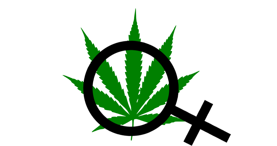 women-in-cannabis-banner