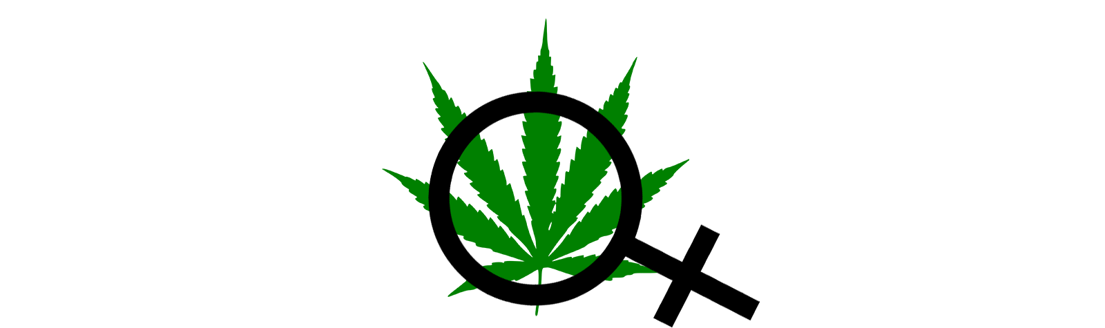 Networking Opportunity for Women In the Cannabis Industry