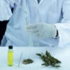 Cannabis testing laboratory