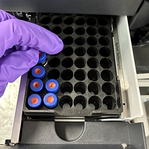 LC vials in an autosampler tray.